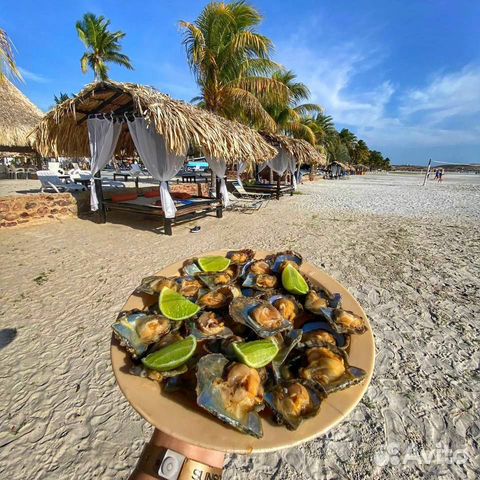 Туры Венесуэла к самому высокому водопаду