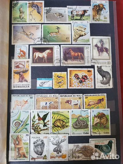 Альбом с марками 1 часть