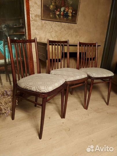 Стулья Лигна с рожками