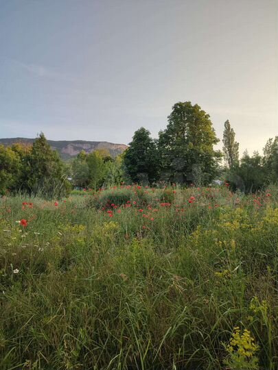 Участок 1,4 га (ИЖС)