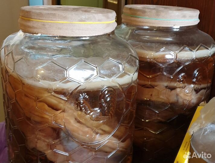 Чайный гриб