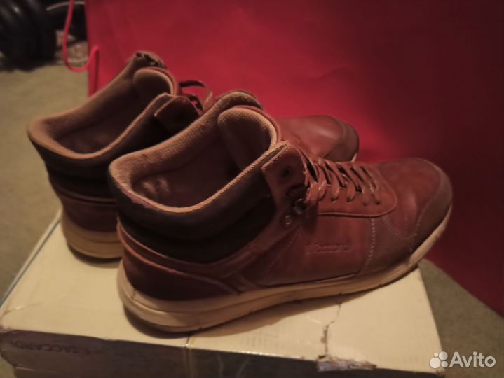 Мужские зимние ботинки T-Taccardi