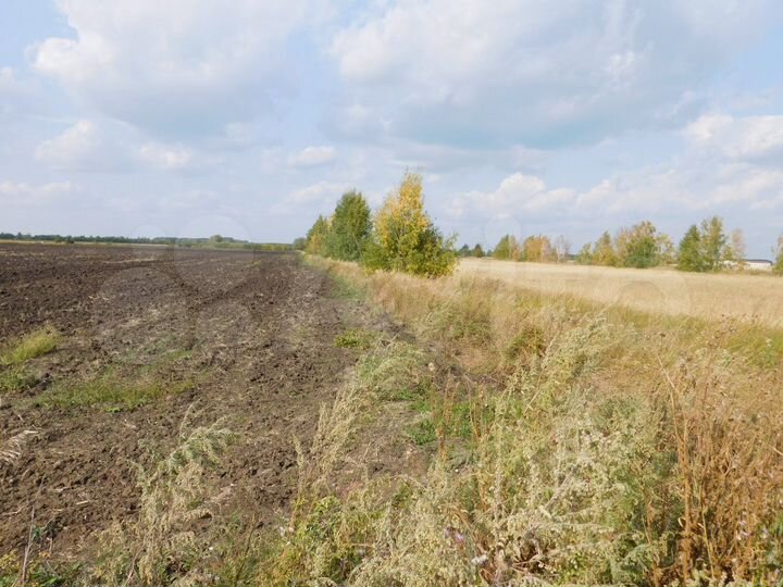 Участок 3,4 га (СНТ, ДНП)