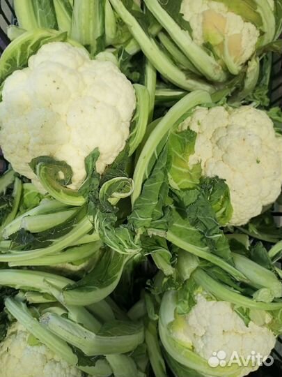 Овощи с доставкой