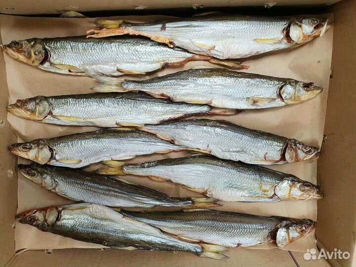 Вяленая рыба камбала-ерш, камбала, корюшка