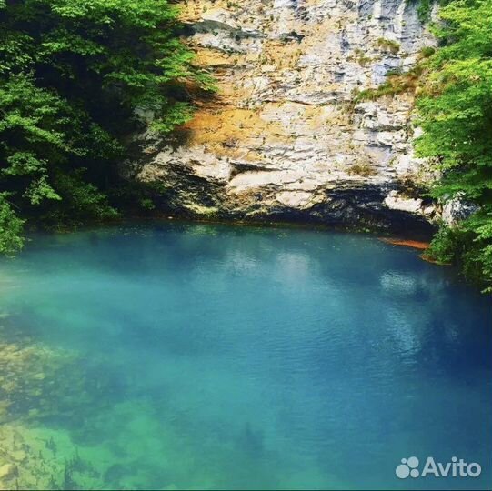 Вип туры по Абхазии озеро Рица