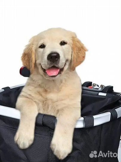 Корзина для велосипеда передняя