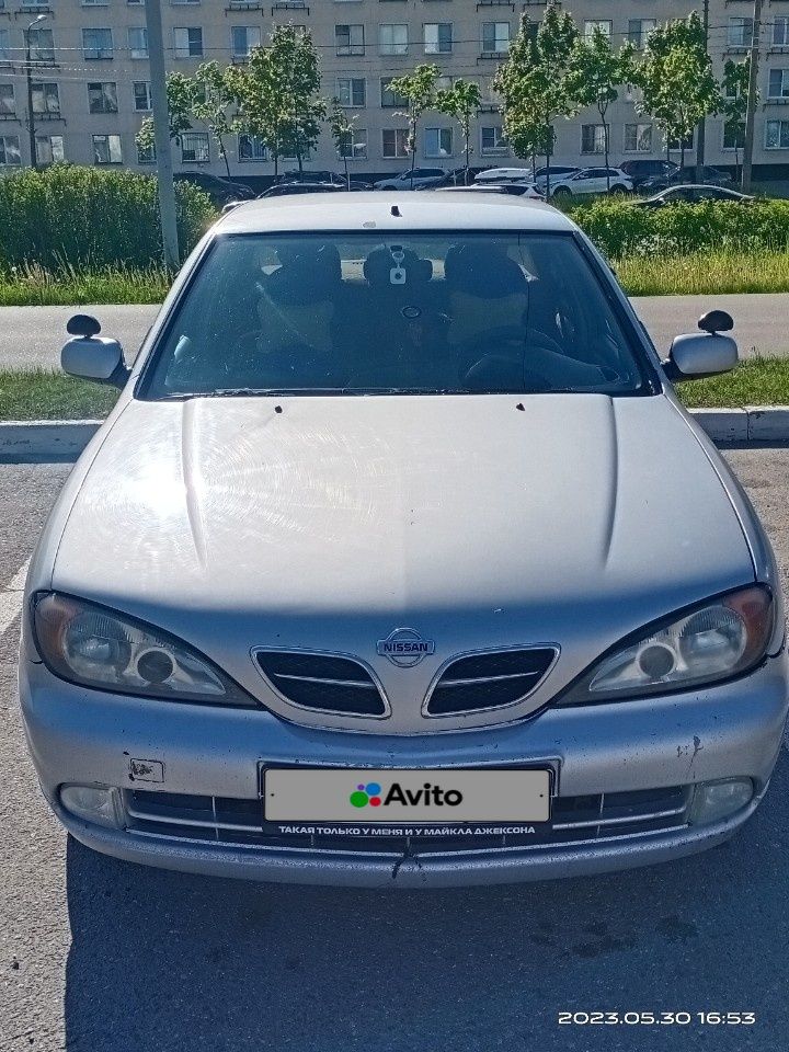Nissan Primera: фото владельца