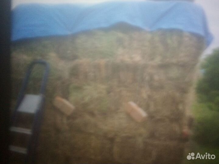 Сено люцерны и разнотравье