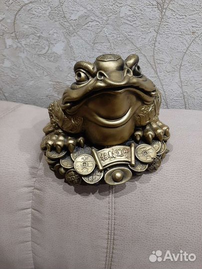 Лягушка большая денежная