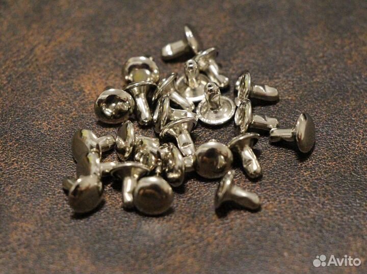 Хольнитены двухсторонние