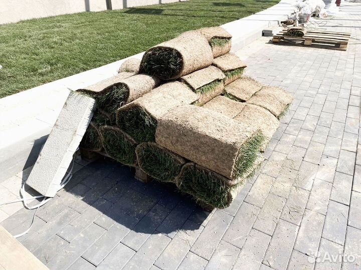 Рулонный газон укладка под ключ. Продажа