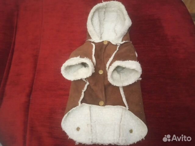 Тёплая одежда для мелких собак и других животных