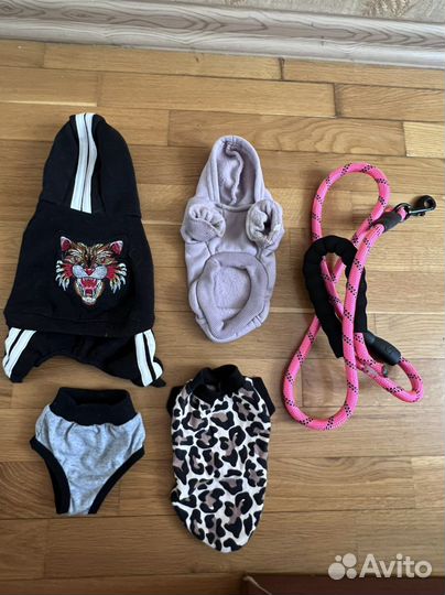 Одежда для собак мелких пород