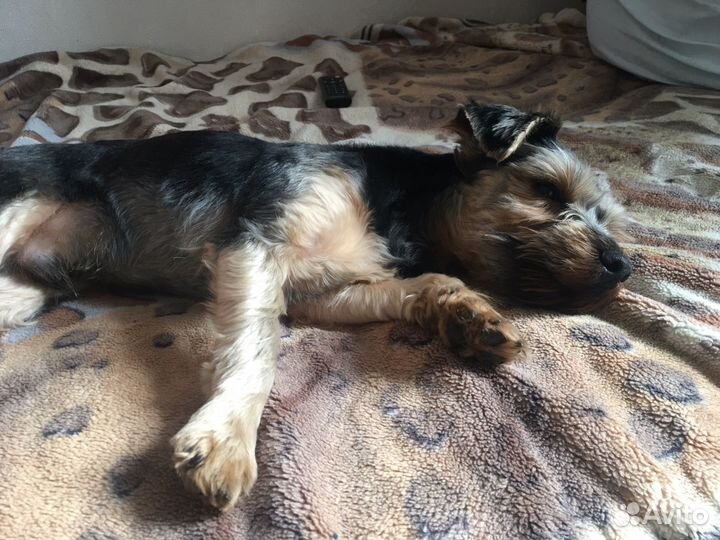 Вязка кабеля