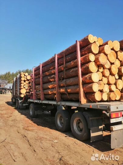 Перевозка леса,услуги гидроманипулятора