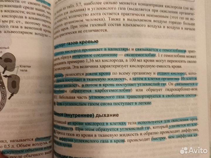 Д. А. Соловков. ЕГЭ по биологии практическая подго