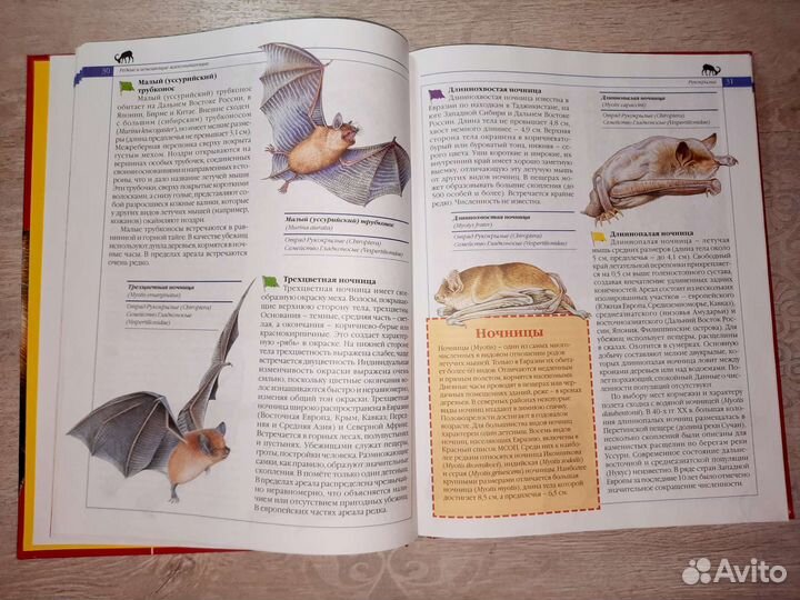 Животные мира красная книга