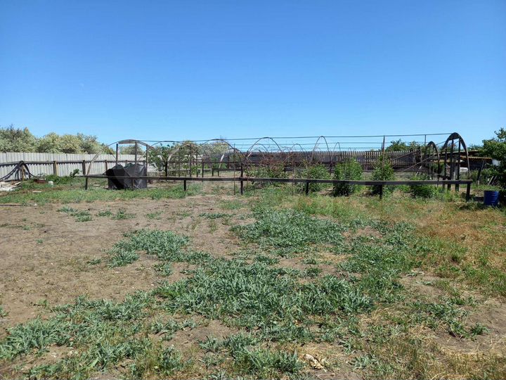 Участок 12 сот. (ИЖС)