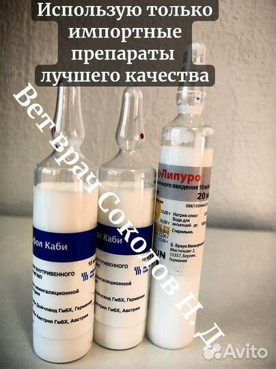 Ветеринарный врач на дом. Усыпление животных 24/7