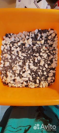 Аквариум и его принадлежности