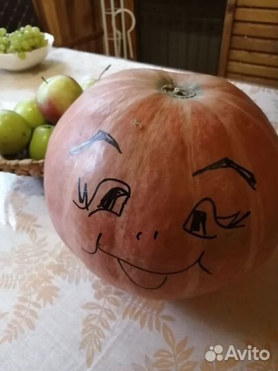 Тыква сладкая мускатная и другая