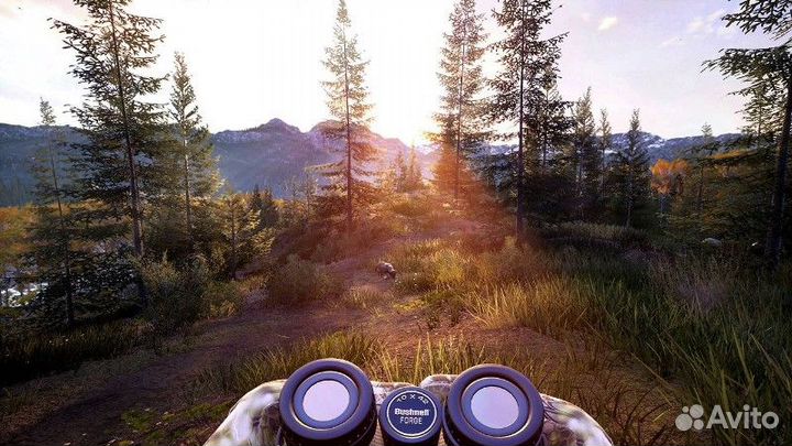 Hunting Simulator 2 PS5