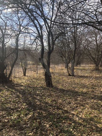 Дом 40 м² на участке 37 сот.