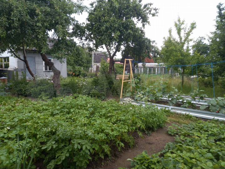 Дача 20 м² на участке 5,8 сот.