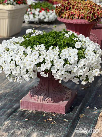 Кашпо напольные большие для цветочных композиций