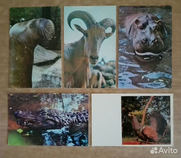 Открытки чистые СССР