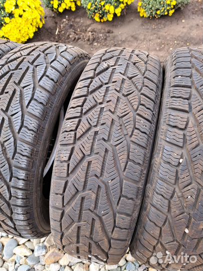 Tigar Winter 185/60 R15