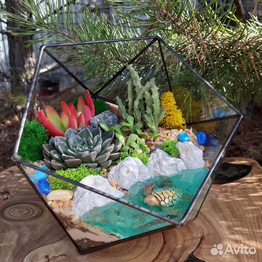 Флорариум. Цветы. Подарки