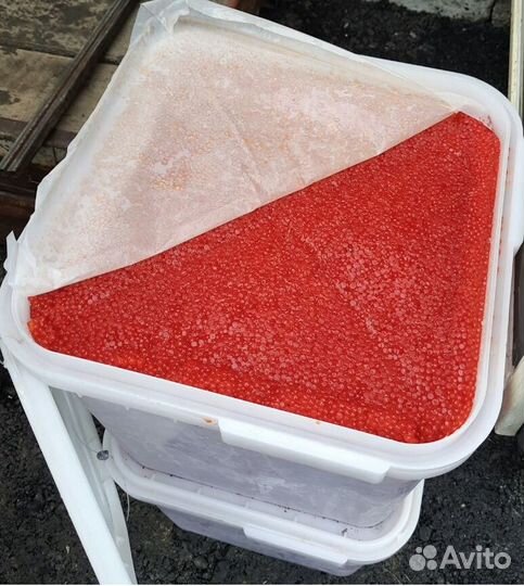 Икра форели оптом