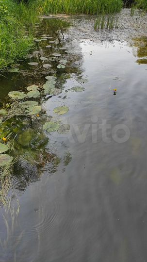 Участок 15 сот. (ИЖС)