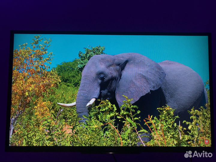 Телевизор Sony KDL-32W705B LED