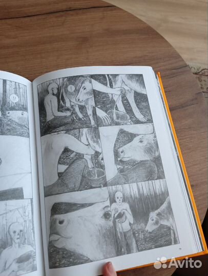 Мойссейнен Ханнерийна: Перешеек