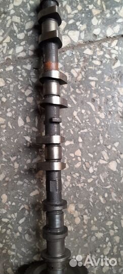 Распредвал выпускной Nissan X-trail 31 MR20DE