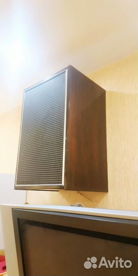 Акустические колонки 10мас-1М