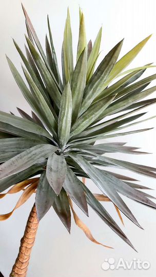 Искусственное дерево растение агава