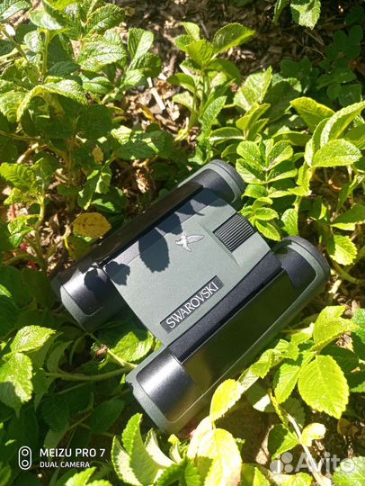 Swarovski pocket 10X25