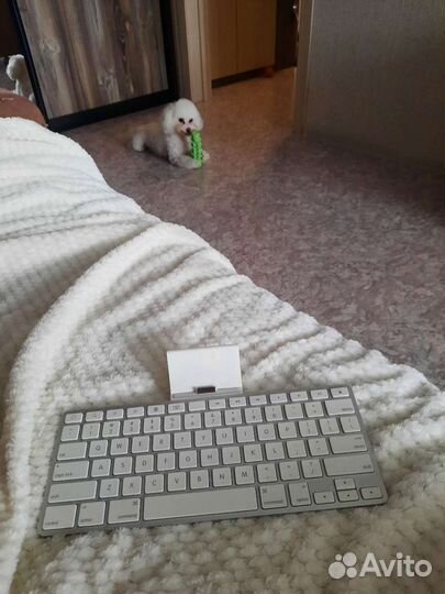 Keyboard Dock модель A1359