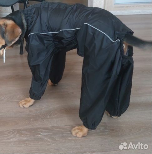 Дождевик для собаки