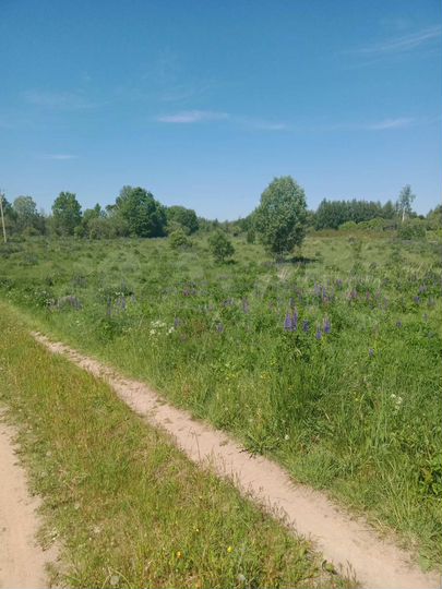 Участок 70 сот. (ИЖС)