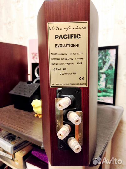 Полочная акустика Wharfedale Pacific Evolution 8