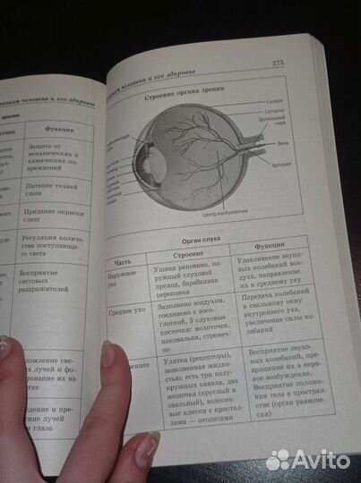 Пособие по биологии