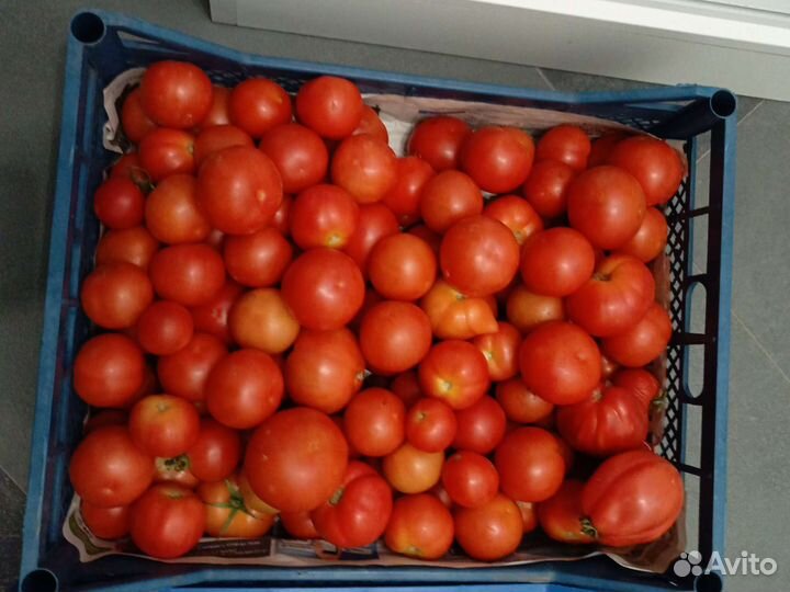 Помидоры, овощи, перец