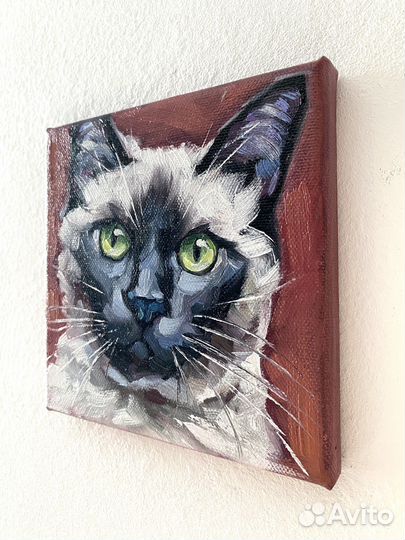 Картина котик кот кошка