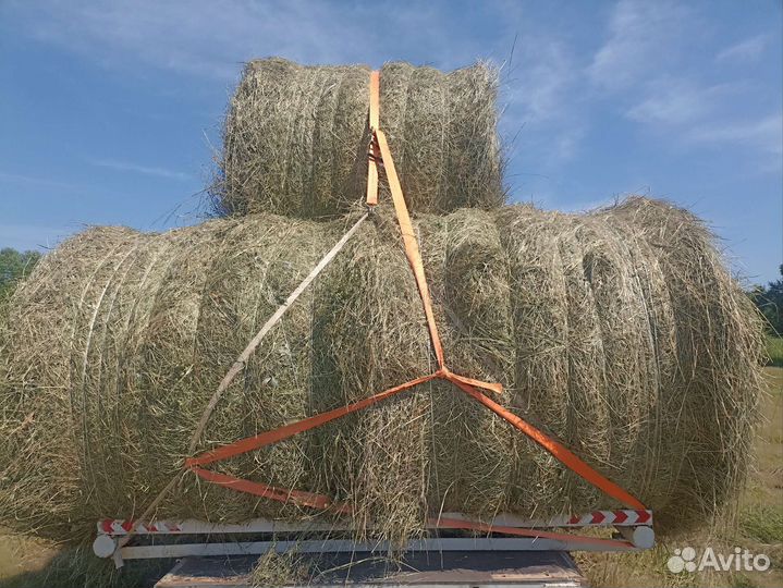 Продам сено в рулонах
