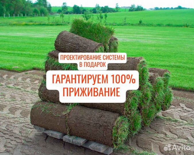 Рулонный газон Универсальный под ключ